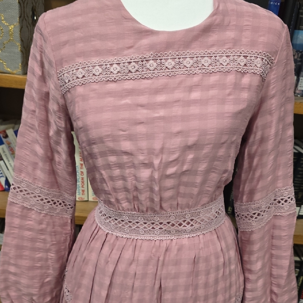 Chic Long Sleeve Pink Maxi Dress, Size 8, Never Worn With Tags - Picture 3 of 10